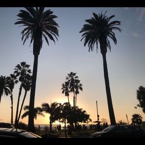 Meet your Posher, Farah